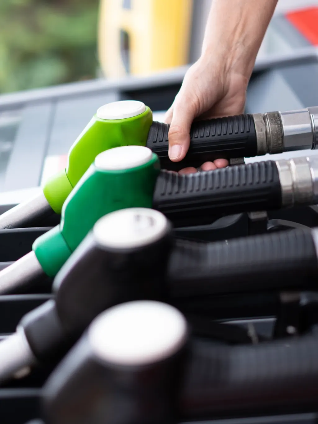 Biofuel: The Next Generation of Green Energy